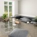 11 Ways to Manage and Recover From Home Water Damage