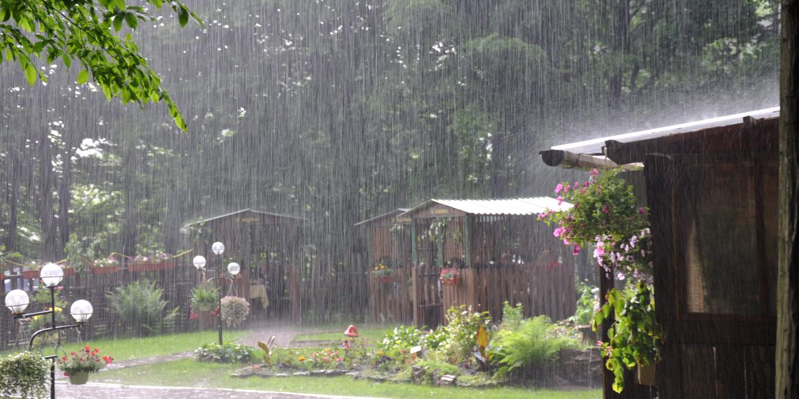 4 Ways to Protect Your Landscaping From Weather Damage