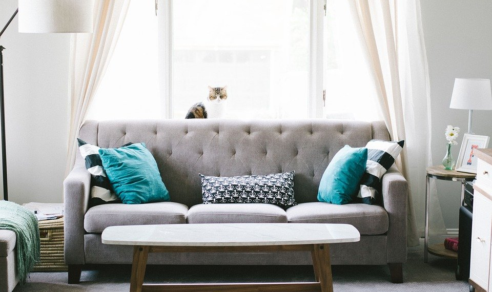 5 Easy Ways to Focus on Cosiness for Your Living Room